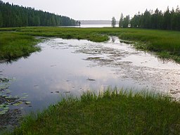 Neitijärvi sedd från sydöst