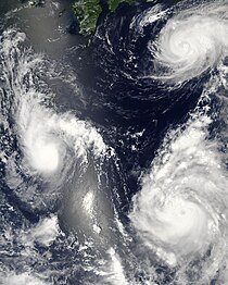 Three tropical cyclones of the 2006 Pacific typhoon season at different stages of development. The weakest (left) demonstrates only the most basic circular shape. A stronger storm (top right) demonstrates spiral banding and increased centralization, while the strongest (lower right) has developed an eye. Maria, Bopha and Saomai 2006-08-07 0435Z.jpg