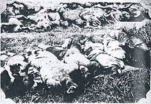 Some victims of the Tongzhou massacre. Massacred corpses of Japanese victims of the Tungchow Massacre 2.jpg