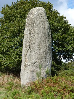 Image illustrative de l’article Menhirs de Kergornec