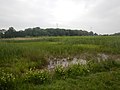 Das Naturgebiet Donckse Velden mit dem Gutshof Donckse Bos im Hintergrund