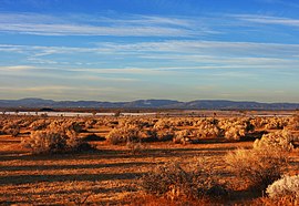 Mojave Desert National Preserve (4040289834).jpg