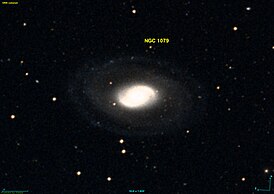 NGC 1079 DSS.jpg