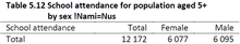 Detail-Scan aus einem Statistik-Dokument aus Namibia (2011), Schreibung „!Nami=Nus“ statt „ǃNamiǂNûs“[11]