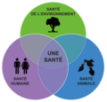 Vignette pour One Health