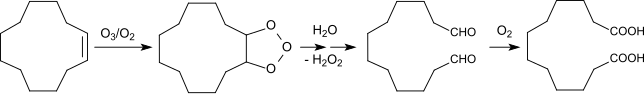 Ozonolyse des Cyclododecen