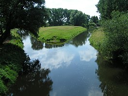 De mûning fan de Oker (r) yn de Aller