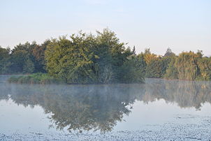 Un étang à Saint-Georges-du-Bois. (définition réelle 3 872 × 2 592)