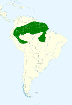 Distribución geográfica del ermitaño piquirrecto.