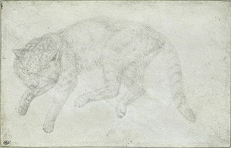 Kat, inv. 2422, zilverstift op perkament, 15 × 23,3