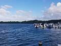 Port de Vieux-Bourg, vue sur la mangrove