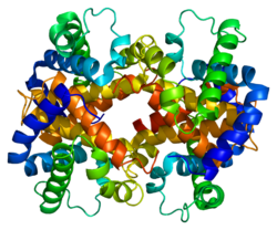 HBZ (Protein)
