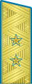 Парадный погон генерал-лейтенант авиации с 1955 по 1994 год.