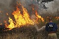 Image 38A Russian firefighter extinguishing a wildfire (from Wildfire)