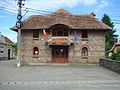 Căminul cultural