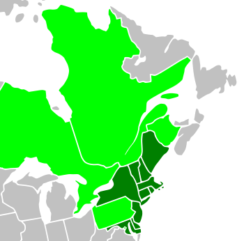 The ten states shown in dark green are participating in RGGI. Observers are represented in lime green.