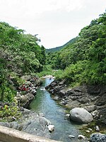 Las cabeceras del Río Inabón se encuentran en el bosque de Toro Negro