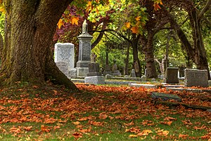 Осенние цвета на кладбище Росс-Бэй (1) .jpg