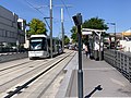 Bildeto por Alcide d'Orbigny (Tramtransporto en Parizo)