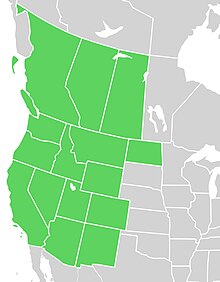 Native distribution of Symphyotrichum ascendens in North America by state and province: Alberta, Arizona, British Columbia, California, Colorado, Idaho, Montana, Nevada, New Mexico, North Dakota, Oregon, Saskatchewan, Utah, Washington, Wyoming.