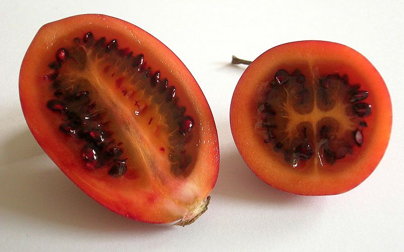 Ficheiro:Tamarillos im Anschnitt(janek2005).jpg