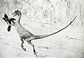 Recreación d'un Ornitholestes cazando a un Archaeopteryx, de Charles Knight (circa 1910)