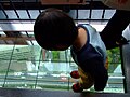 2009年7月31日 (金) 15:15時点における版のサムネイル