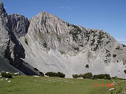 Връх Синаница