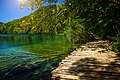 Autre chemin de bord de lac en rondins dans le parc. Juillet 2018.