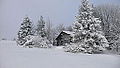 Die Hütte im Winter