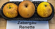 Miniatura para Zabergau Reinette