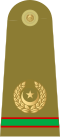 10.Пакистанская армия-SMCWO.svg