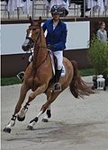 Pénélope Leprevost et Flora de Mariposa au 54e CHI de Genève, en 2014.