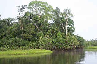 El agua es el hábitat de plantas, peces y otros muchos animales