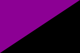 Bandera del anarcofeminismo.