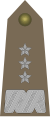 Army-POL-OF-08.svg