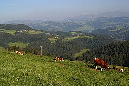 Emmental