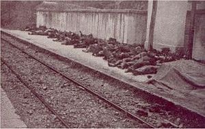 Катастрофа поезда Бальвано (1944) .jpg