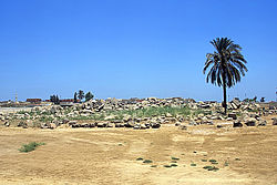 View of the temple site