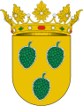 D'oro, a tre pigne di verde (Pina de Ebro, Spagna)[3]