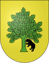 Blason