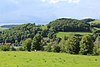 Blick vom Kühküppel nordwärts zum Kalvarienberg (Stein) bei Poppenhausen