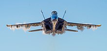 An approaching Boeing F/A-18E/F Super Hornet Blue Angels Super Hornet over Pensocola.jpg