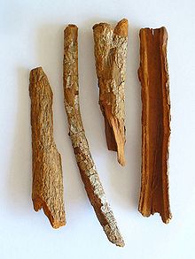 An example of a herbal medicine resource: the bark of the cinchona tree contains quinine, which today is a widely prescribed treatment for malaria. The unpurified bark is still used by some who can not afford to purchase more expensive antimalarial drugs. Cinchona officinalis 001.JPG