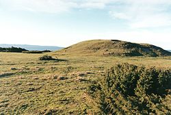 Dagshög med Skälderviken och Kullaberg i bakgrunden.