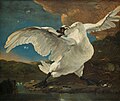 The Threatened Swan (k. 1650) của Jan Asselijn