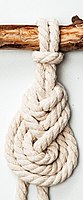 pipa knot[90]