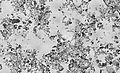 Image 16Diatomaceous earth, by Richard Wheeler (from Wikipedia:Featured pictures/Sciences/Geology)