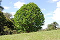 Parque do Carmo - Cidade de São Paulo