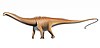 Modern depiction of Diplodocus carnegiei.